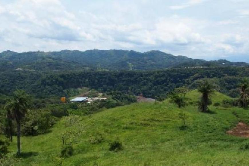 Ricovida view