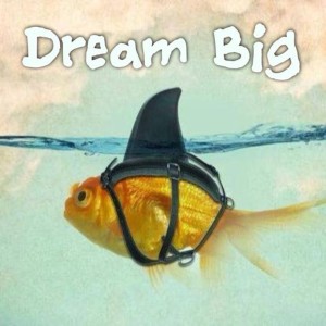dream big from pinterest